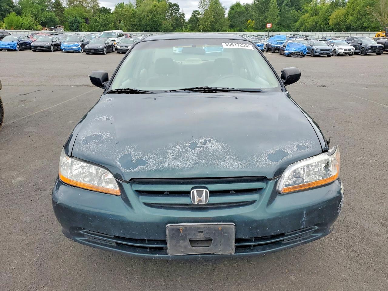 2001 Honda Accord Value Green vin: 1HGCF86601A132923