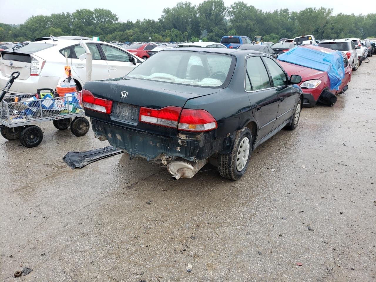 2001 Honda Accord Value Green vin: 1HGCF86661A089379