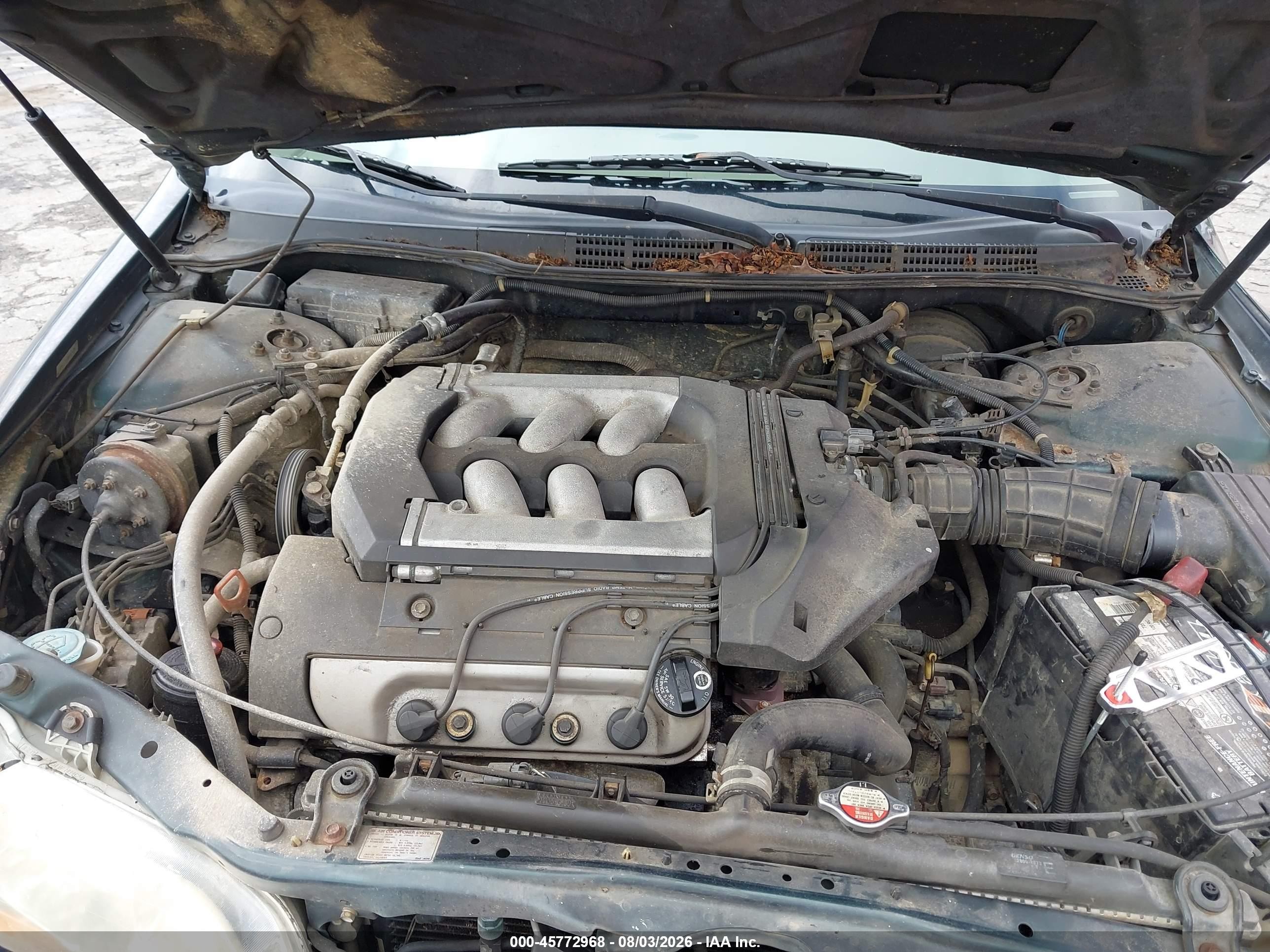 1998 Honda Accord Lx V6 Green vin: 1HGCG1642WA024250