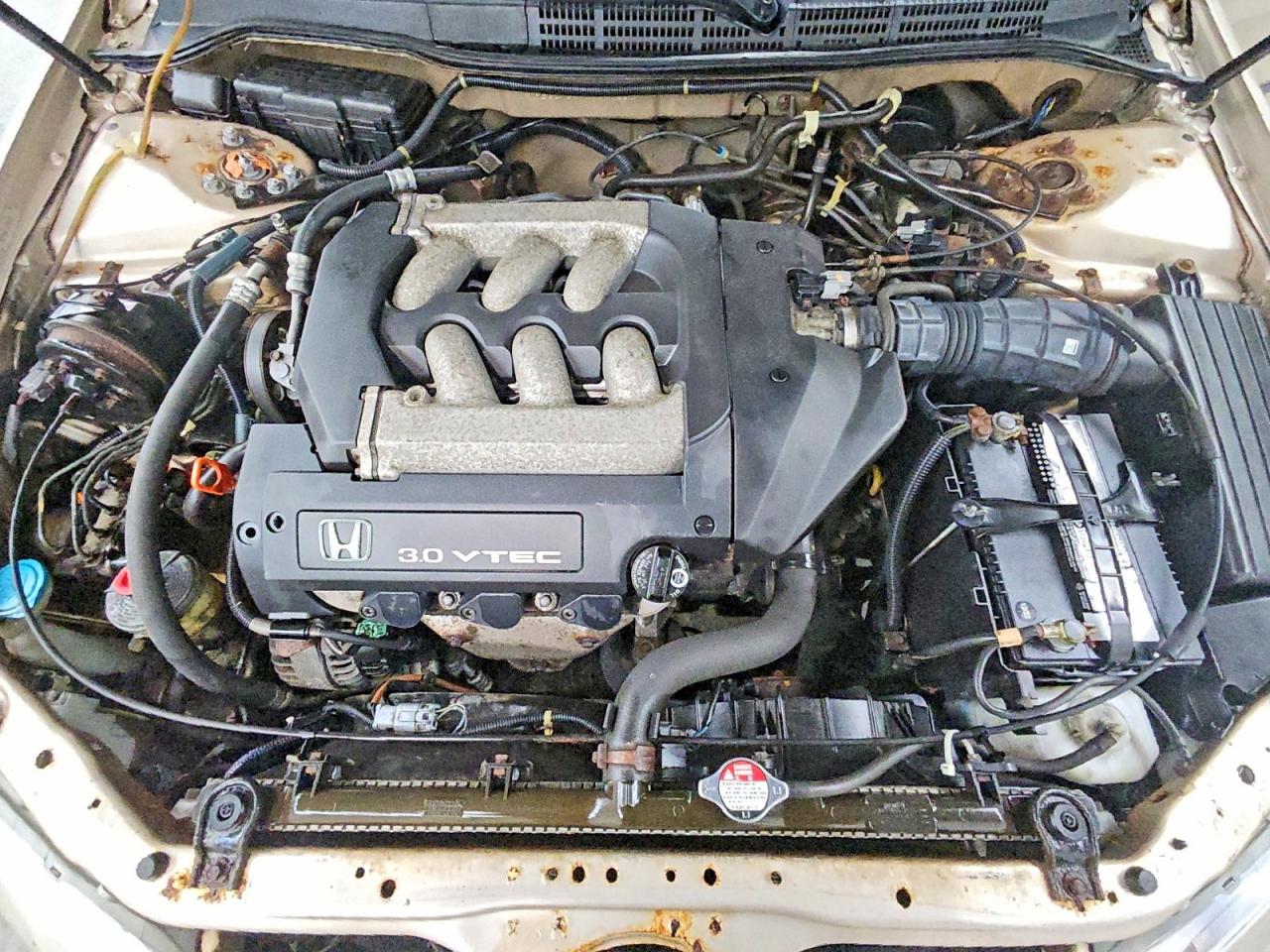 2000 Honda Accord Lx Tan vin: 1HGCG1644YA009235