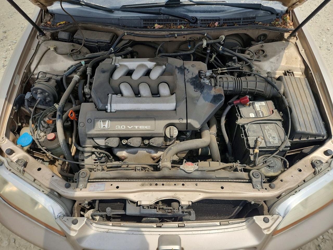 2000 Honda Accord Lx Gold vin: 1HGCG1645YA025931