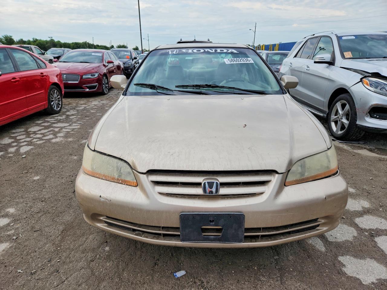 2001 Honda Accord Ex Желто-коричневый vin: 1HGCG16511A007778