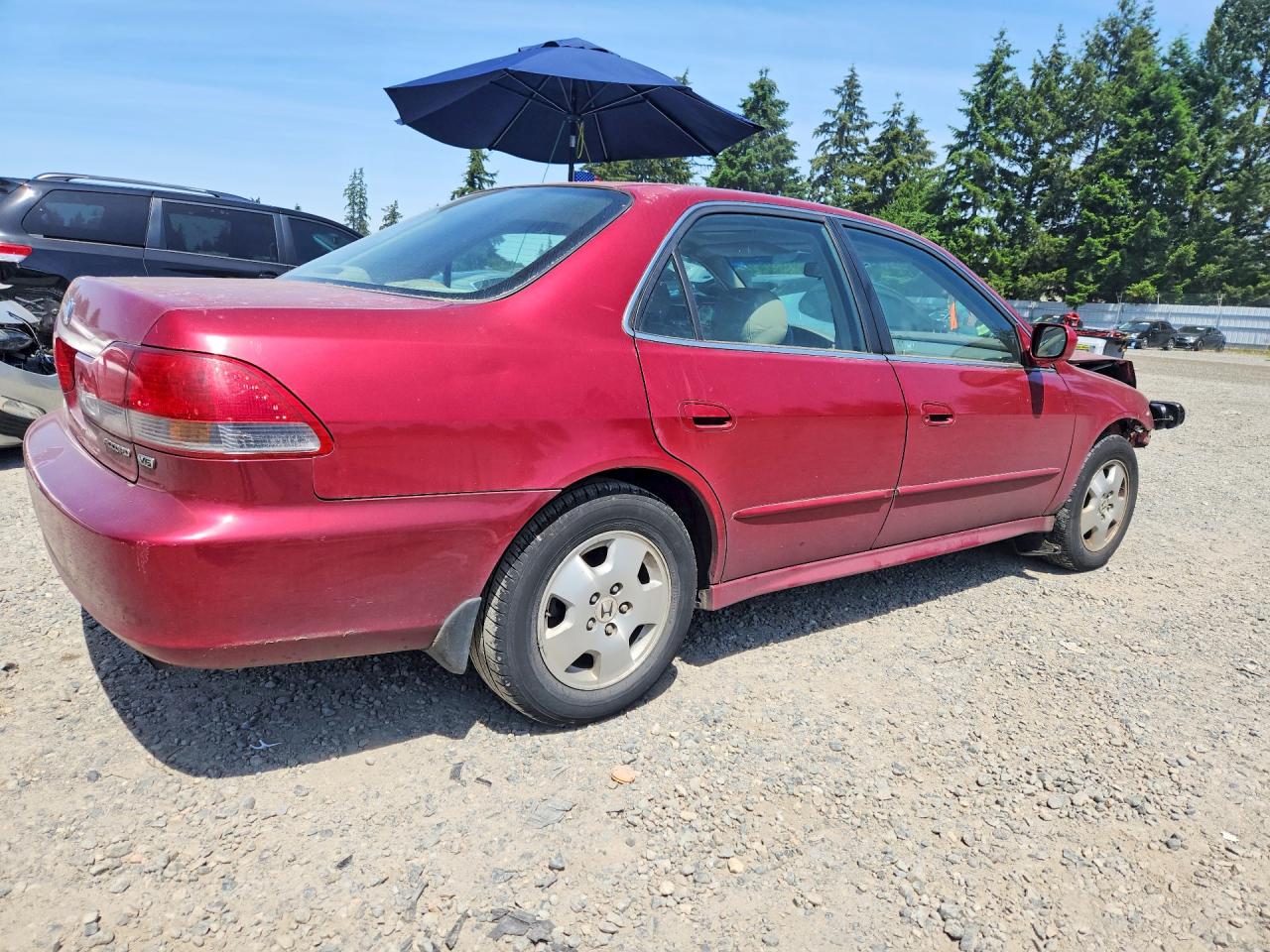 2001 Honda Accord Ex Burgundy vin: 1HGCG16531A001223