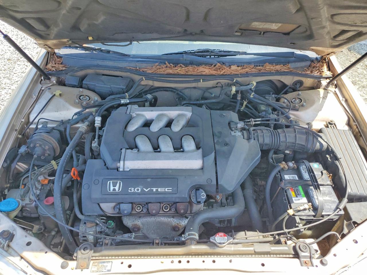 2000 Honda Accord Ex Tan vin: 1HGCG1654YA082842
