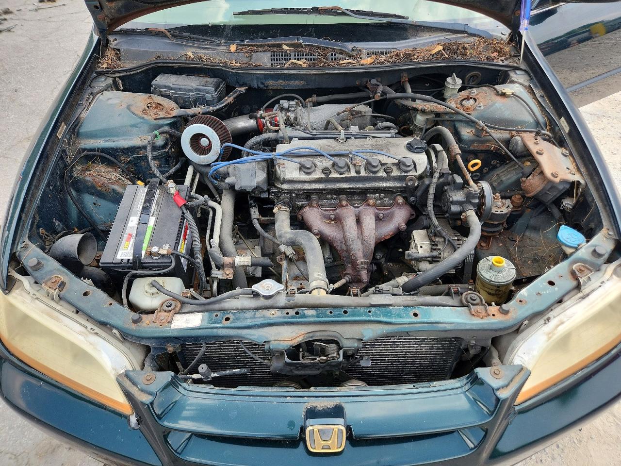 2001 Honda Accord Ex Green vin: 1HGCG16551A075596