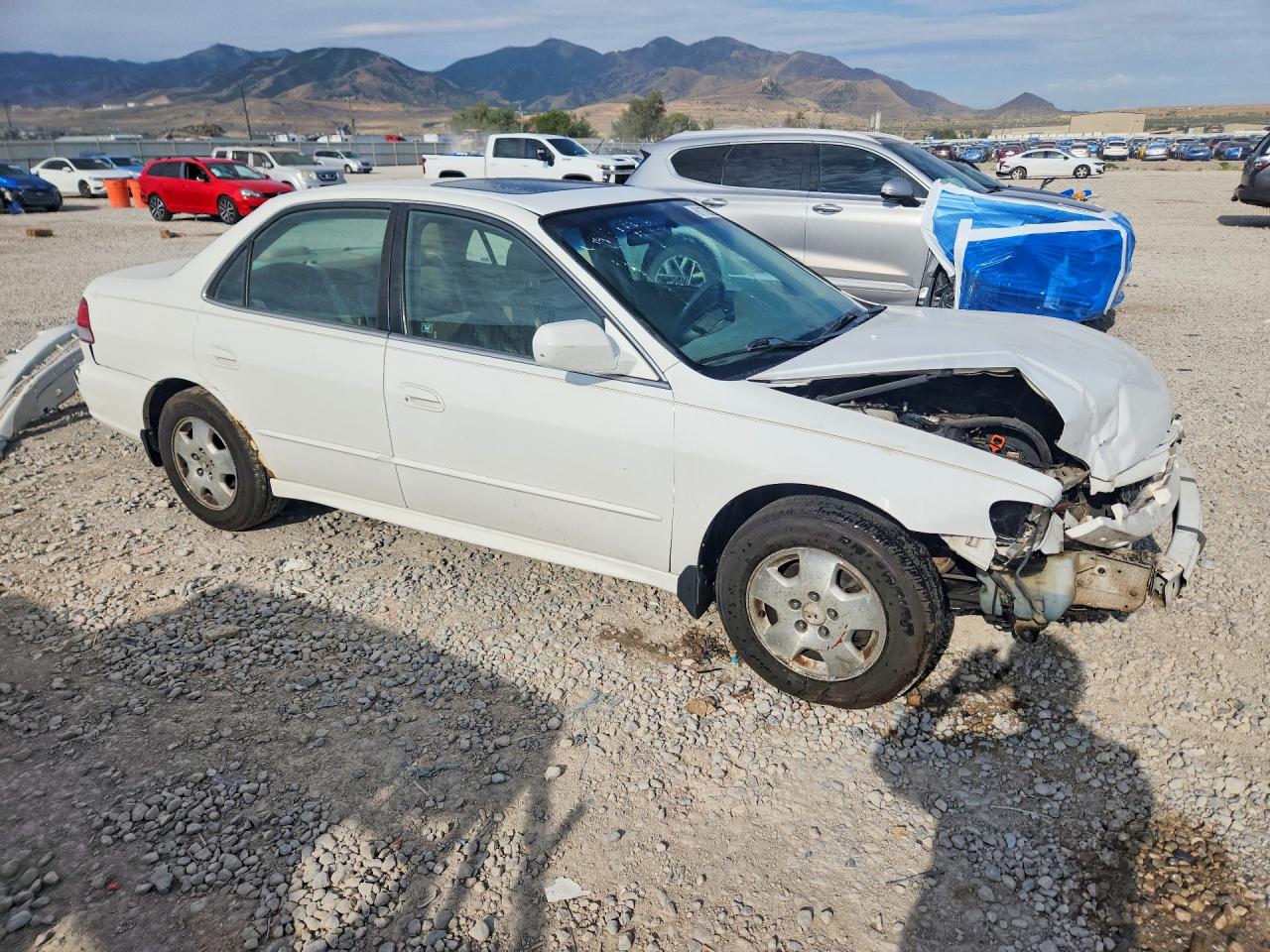 2002 Honda Accord Ex White vin: 1HGCG16562A012279