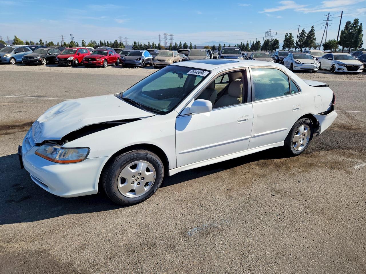 2002 Honda Accord Ex White vin: 1HGCG165X2A043051