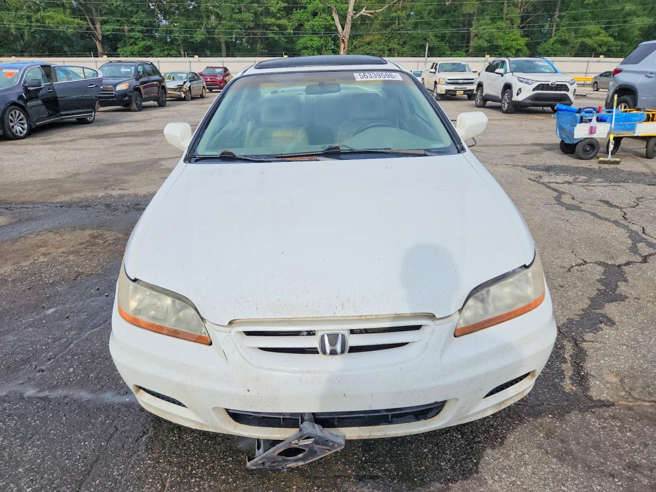 2001 Honda Accord Ex White vin: 1HGCG22521A005100