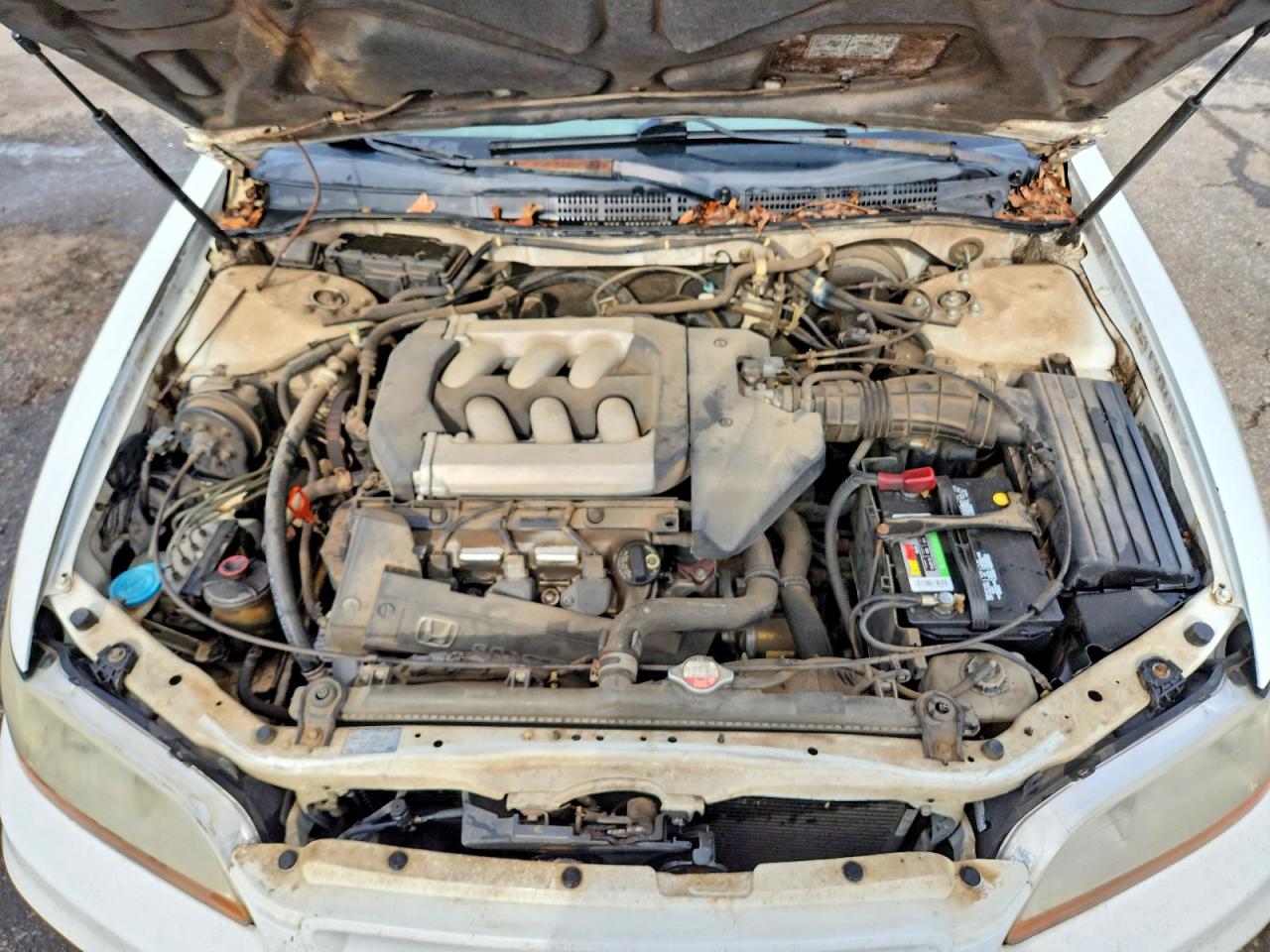 2001 Honda Accord Ex White vin: 1HGCG22521A005100