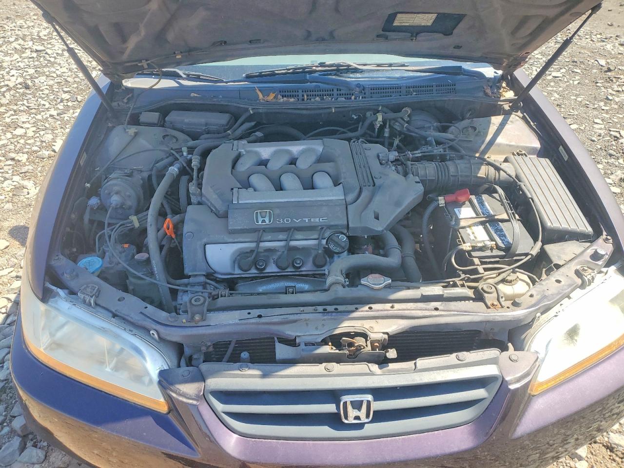 1998 Honda Accord Purple vin: 1HGCG2252WA026214
