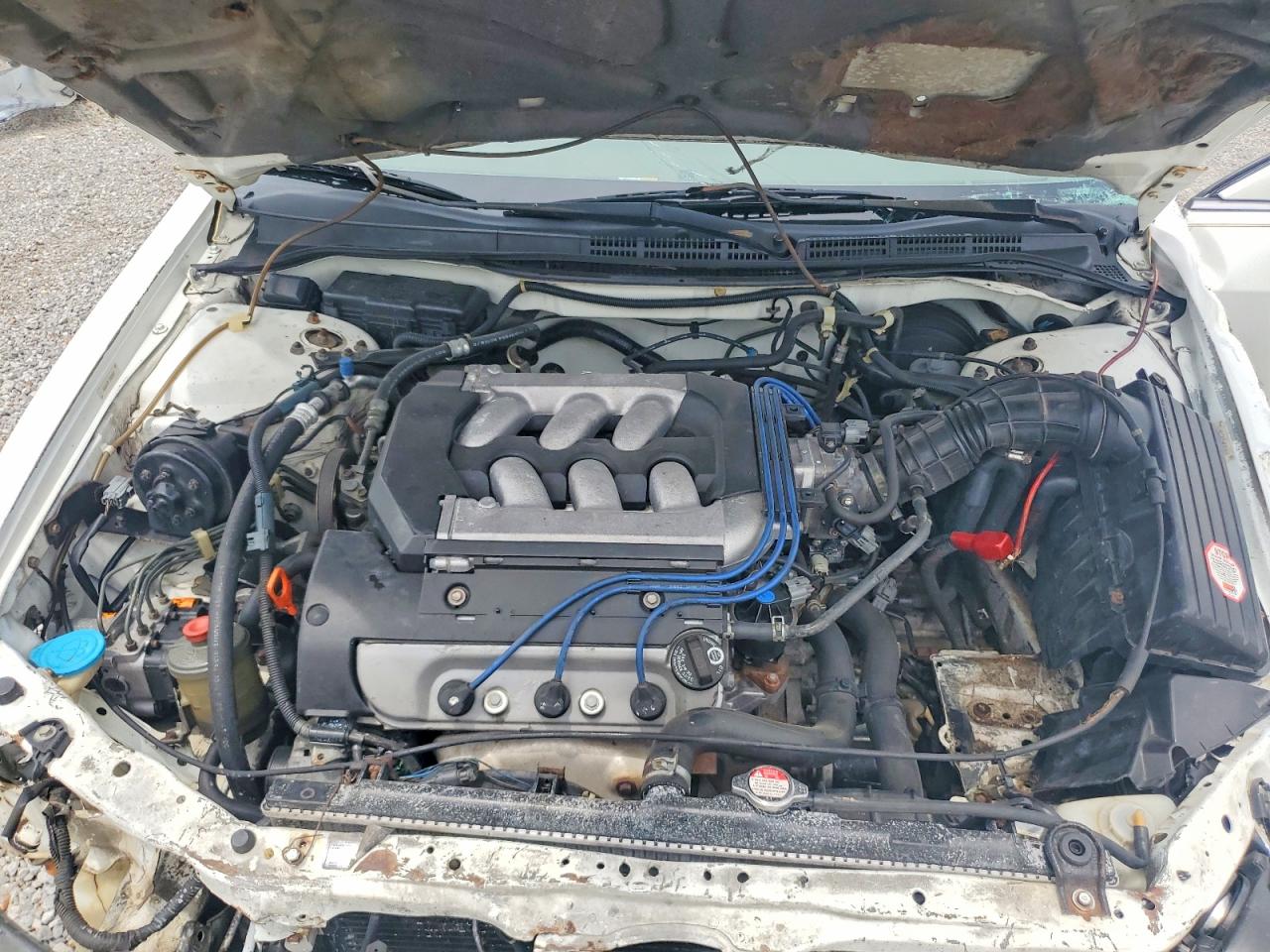 1999 Honda Accord White vin: 1HGCG2256XA008848