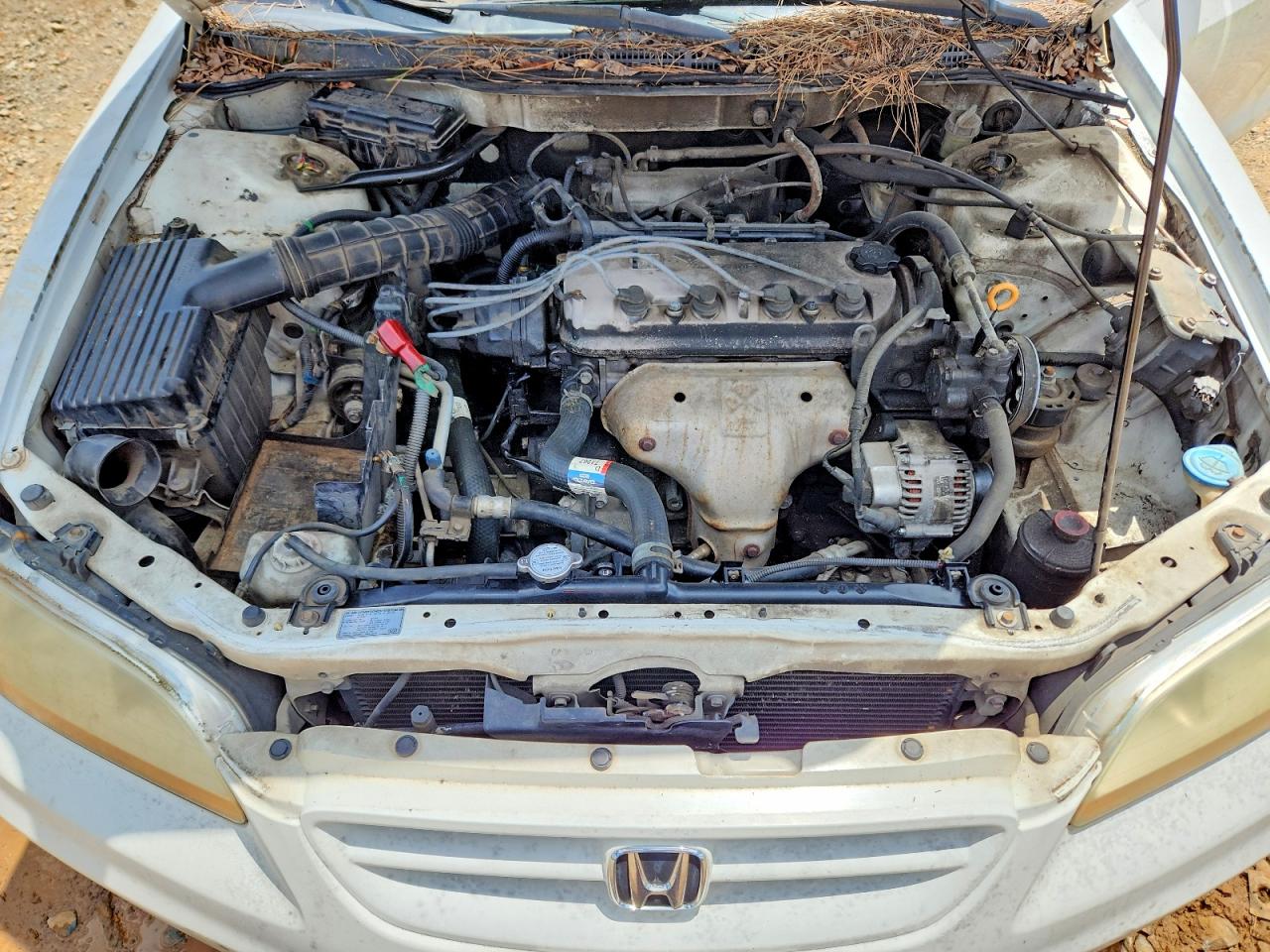 2002 Honda Accord Lx White vin: 1HGCG31412A026472