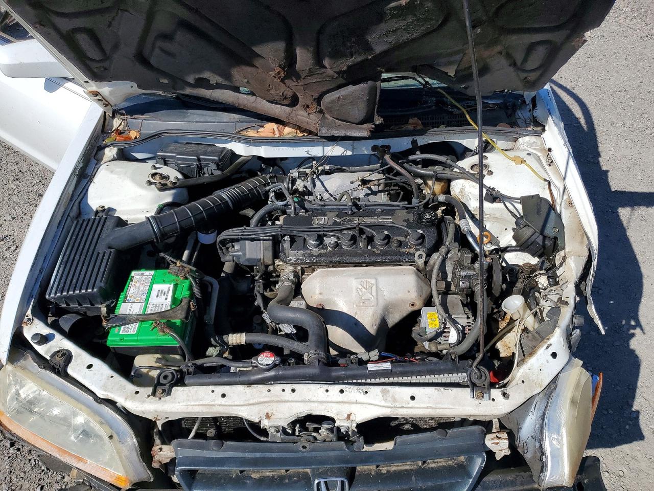 1998 Honda Accord Lx White vin: 1HGCG3240WA007898