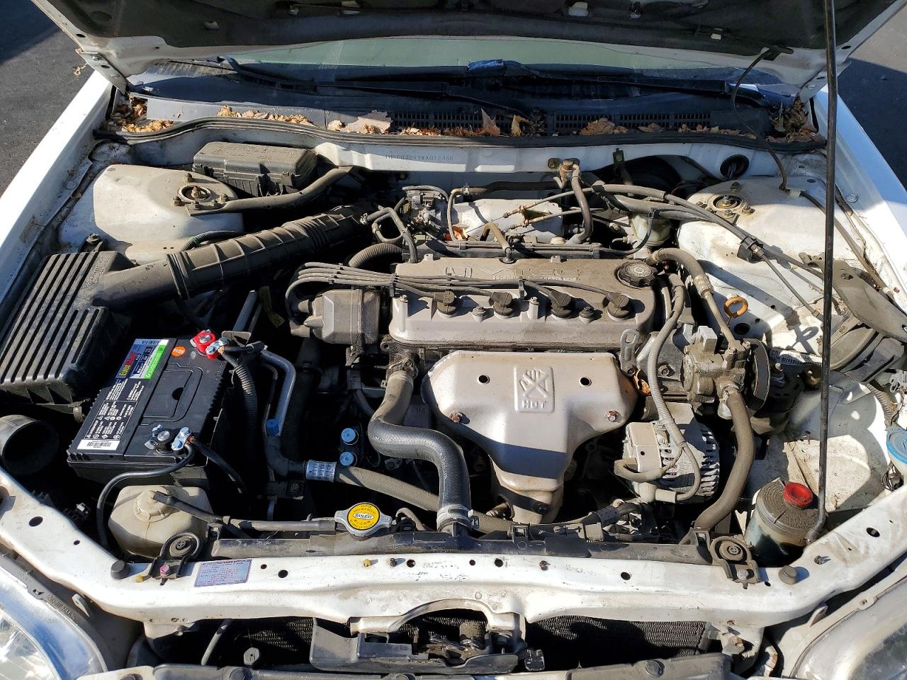 1998 Honda Accord Lx White vin: 1HGCG3249WA012386