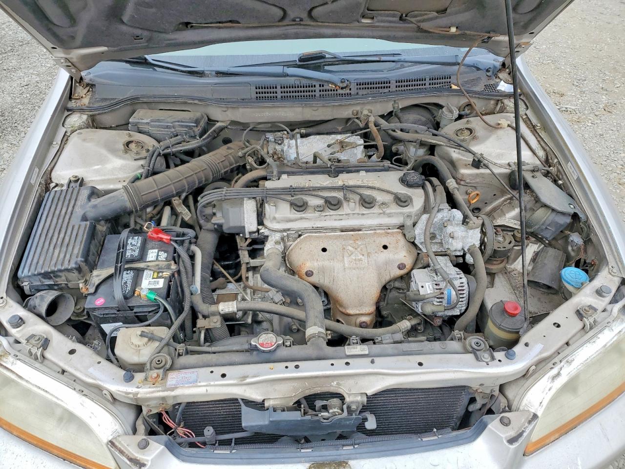 1998 Honda Accord Lx Silver vin: 1HGCG5540WA251560