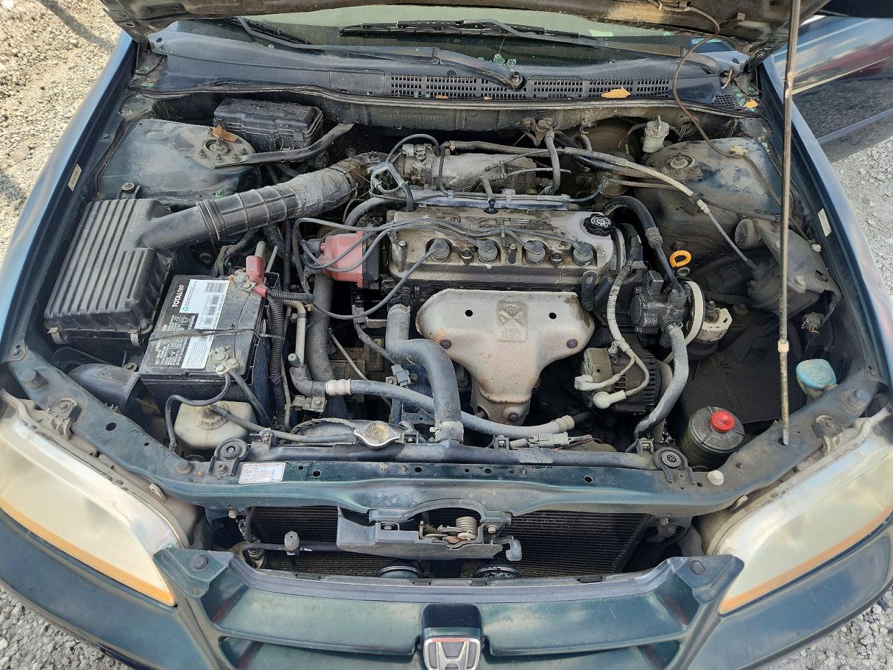 1999 Honda Accord Lx Green vin: 1HGCG5547XA139677