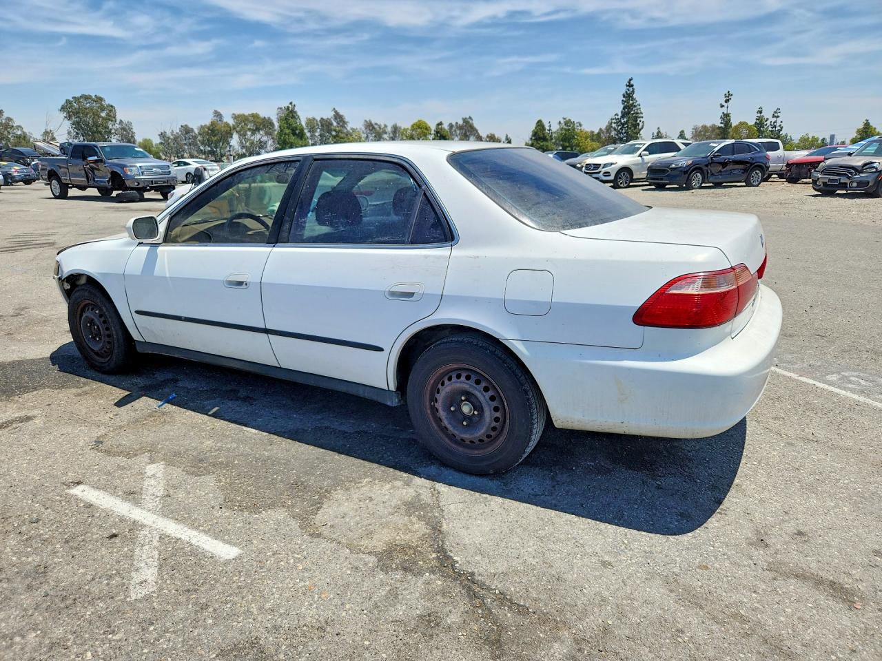 1999 Honda Accord Lx White vin: 1HGCG5548XA152373