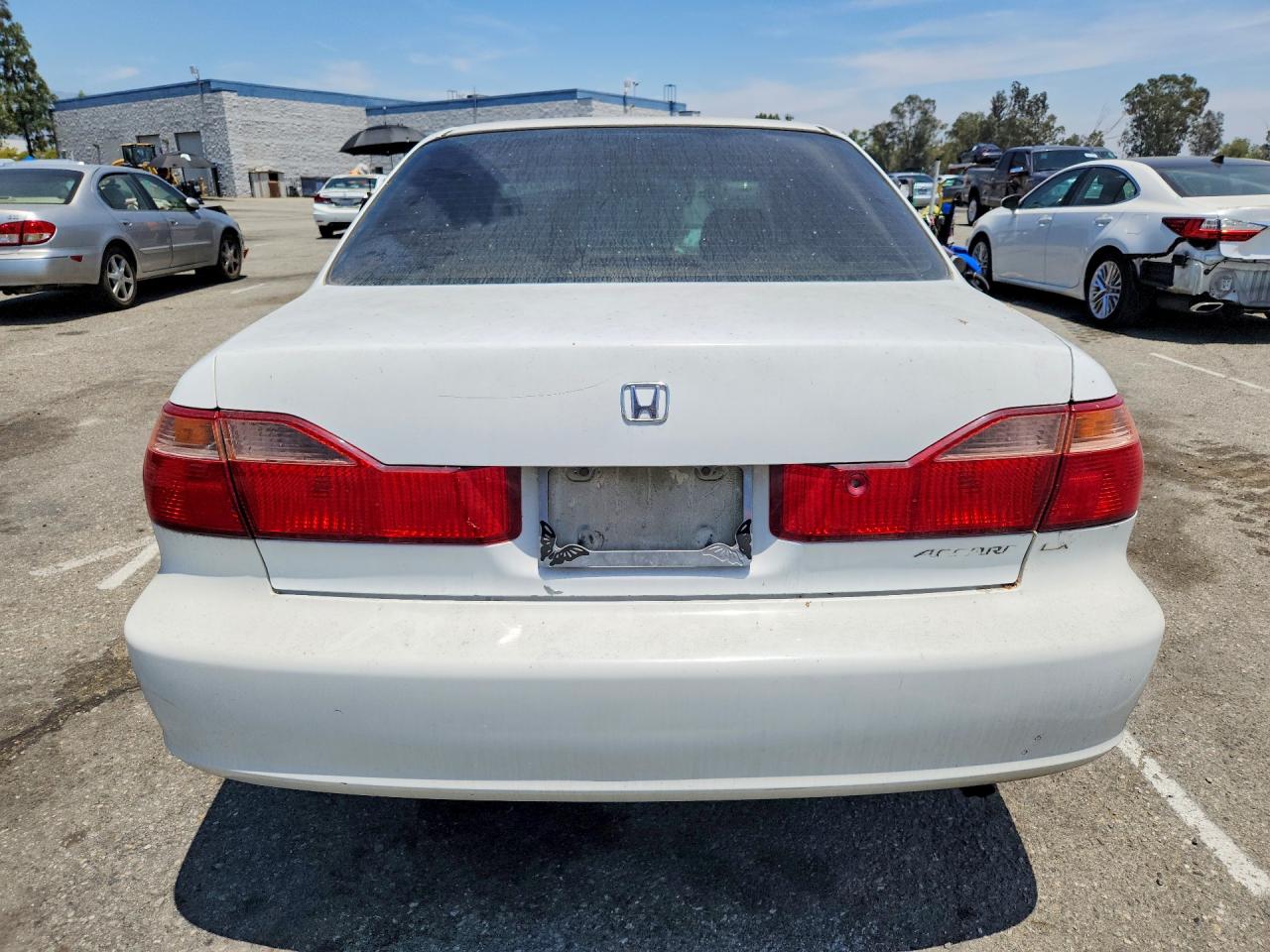 1999 Honda Accord Lx White vin: 1HGCG5548XA152373