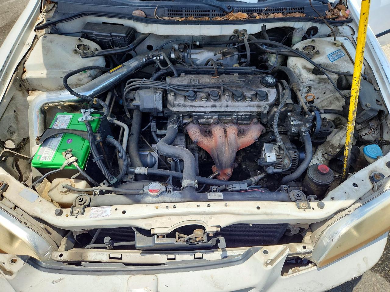 1999 Honda Accord Lx White vin: 1HGCG5548XA152373