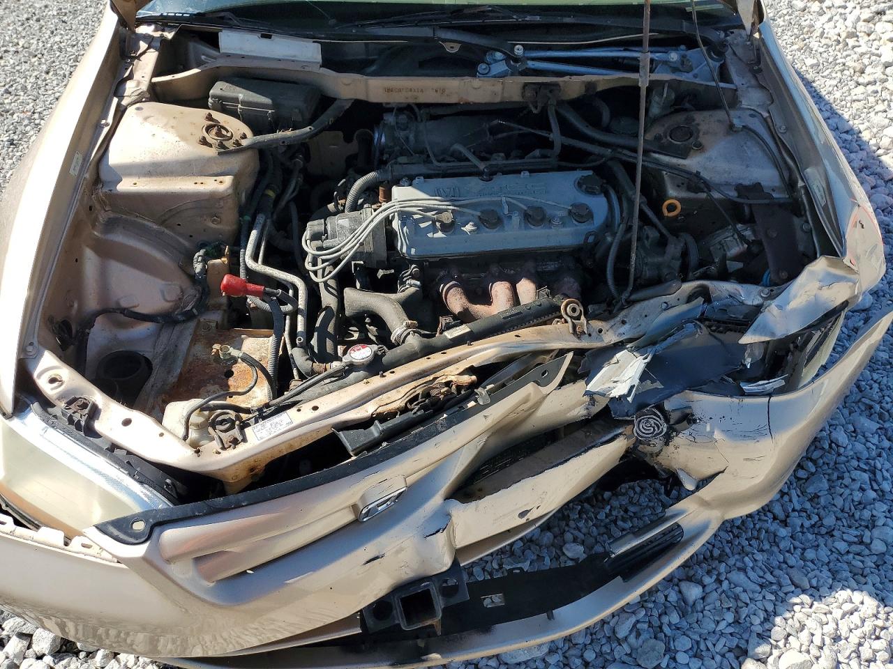 2001 Honda Accord Lx Tan vin: 1HGCG554X1A017810