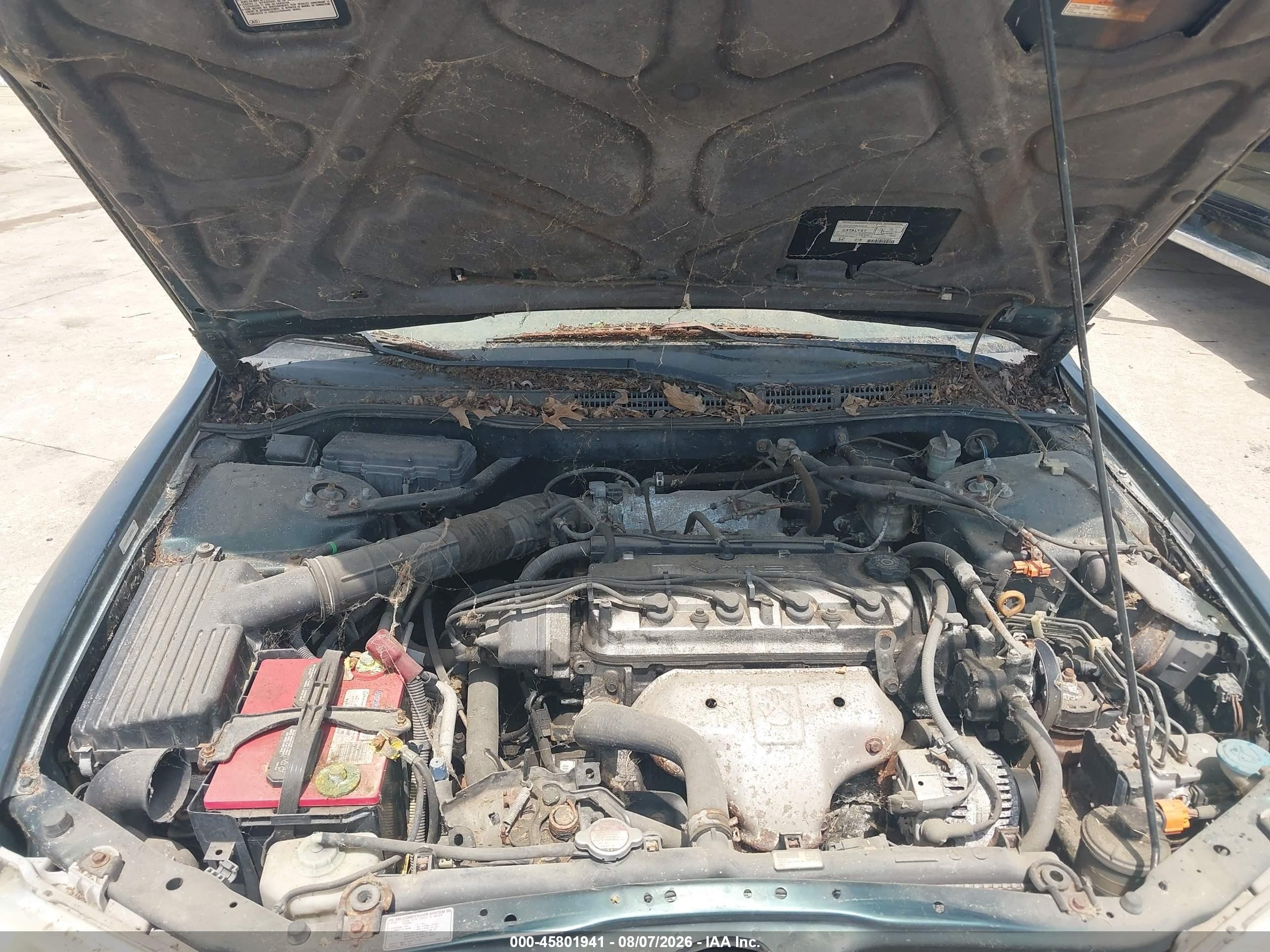 1998 Honda Accord Ex Green vin: 1HGCG5550WA076414