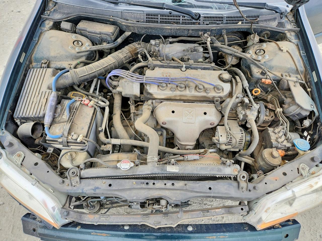 1998 Honda Accord Ex Зеленый vin: 1HGCG5552WA076382