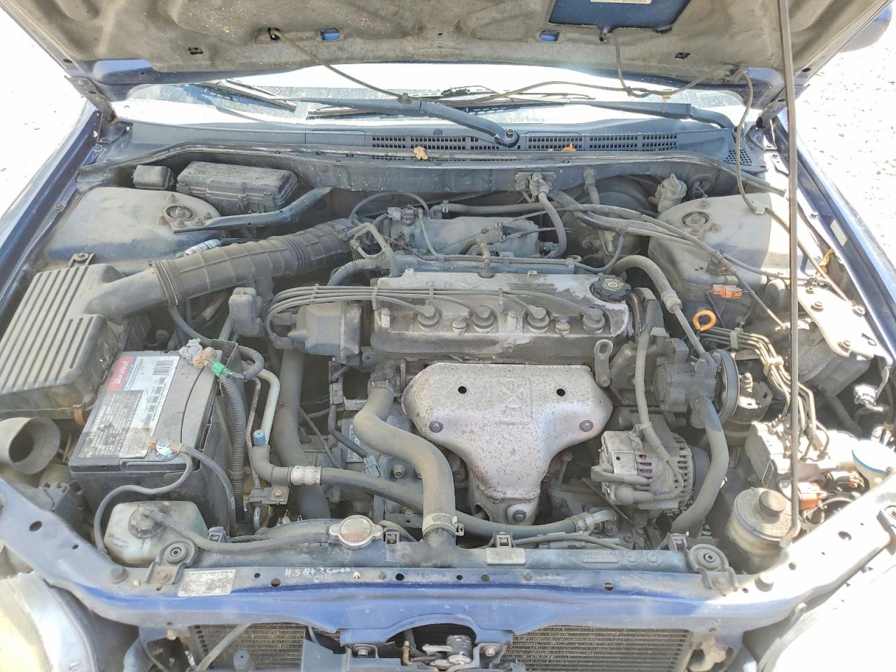 2001 Honda Accord Ex Blue vin: 1HGCG556X1A097014