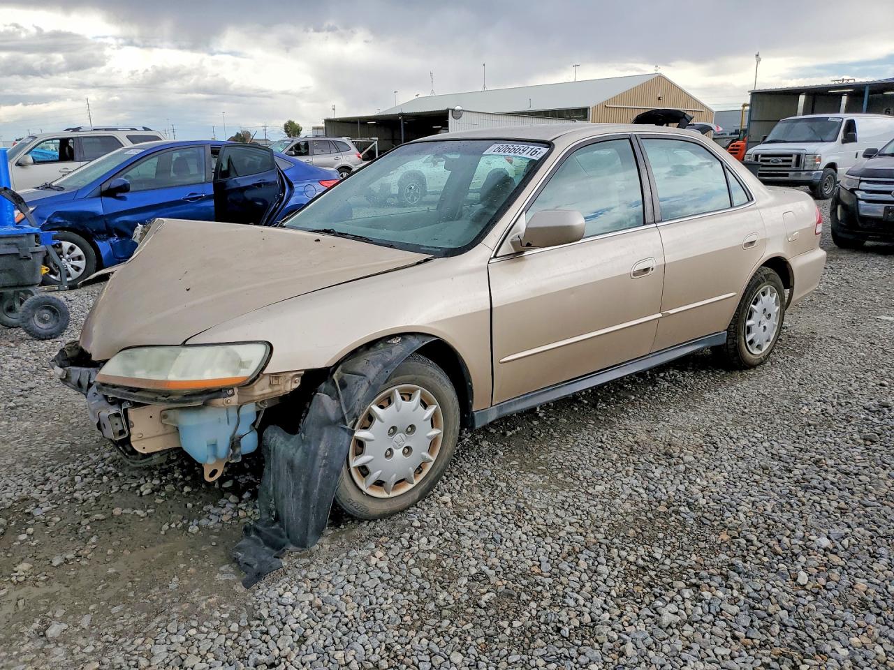 2002 Honda Accord Lx Tan vin: 1HGCG56402A040142