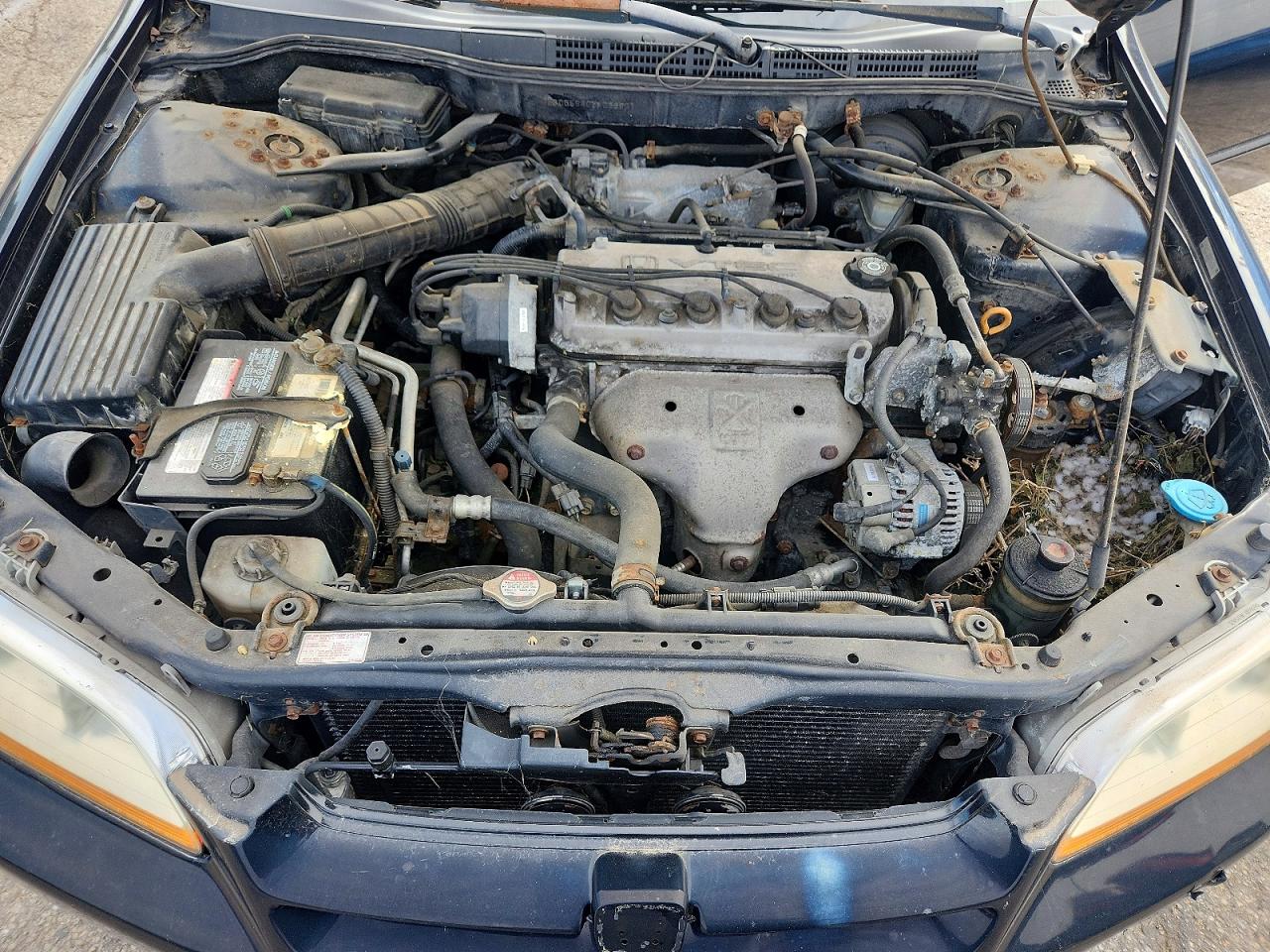 2000 Honda Accord Lx Черный vin: 1HGCG5640YA033801