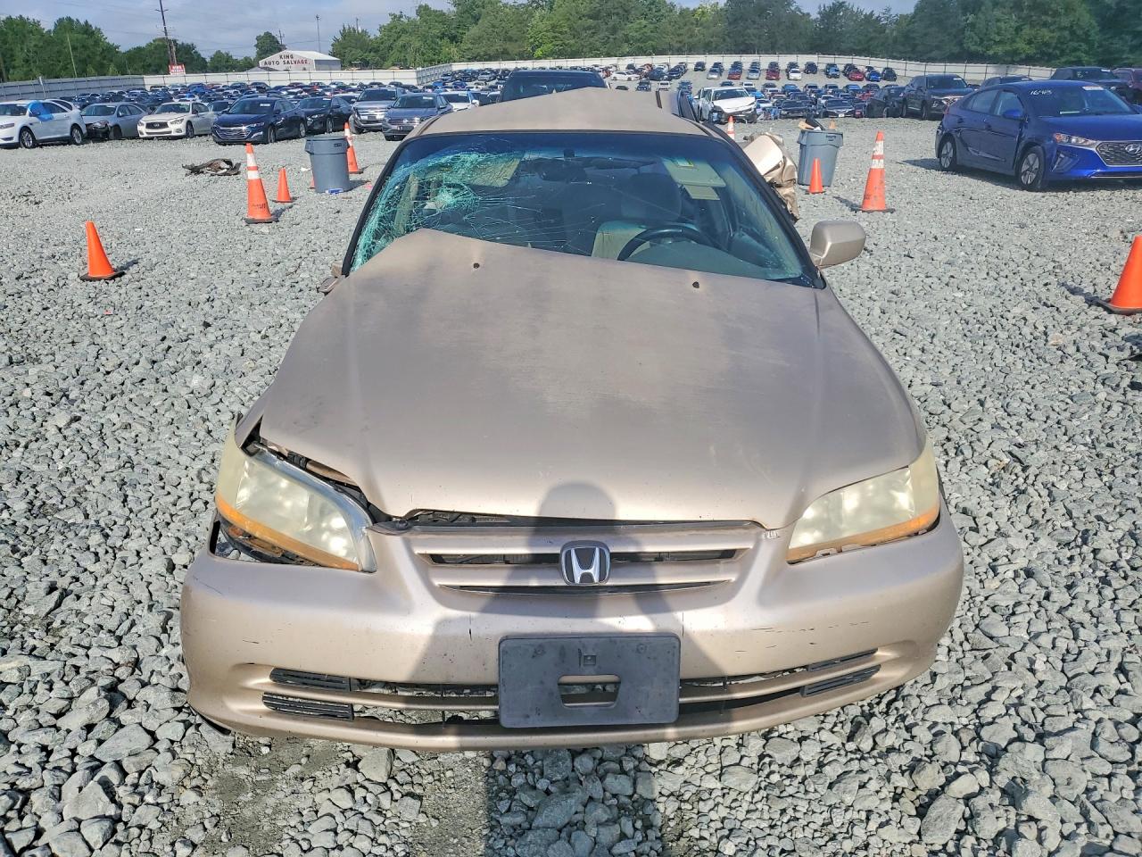 2001 Honda Accord Lx Beige vin: 1HGCG56431A134062