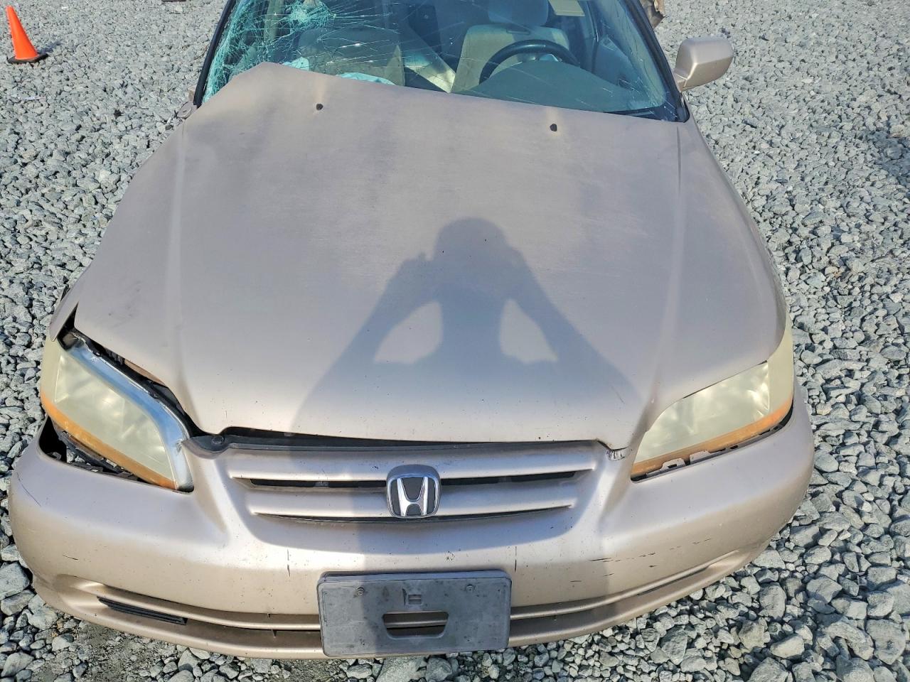 2001 Honda Accord Lx Beige vin: 1HGCG56431A134062