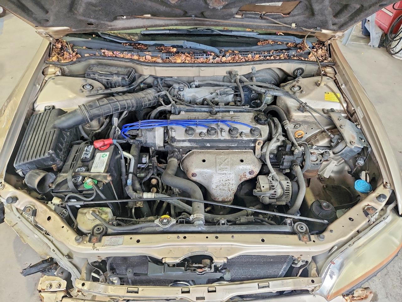 2000 Honda Accord Lx Cream vin: 1HGCG5643YA058725