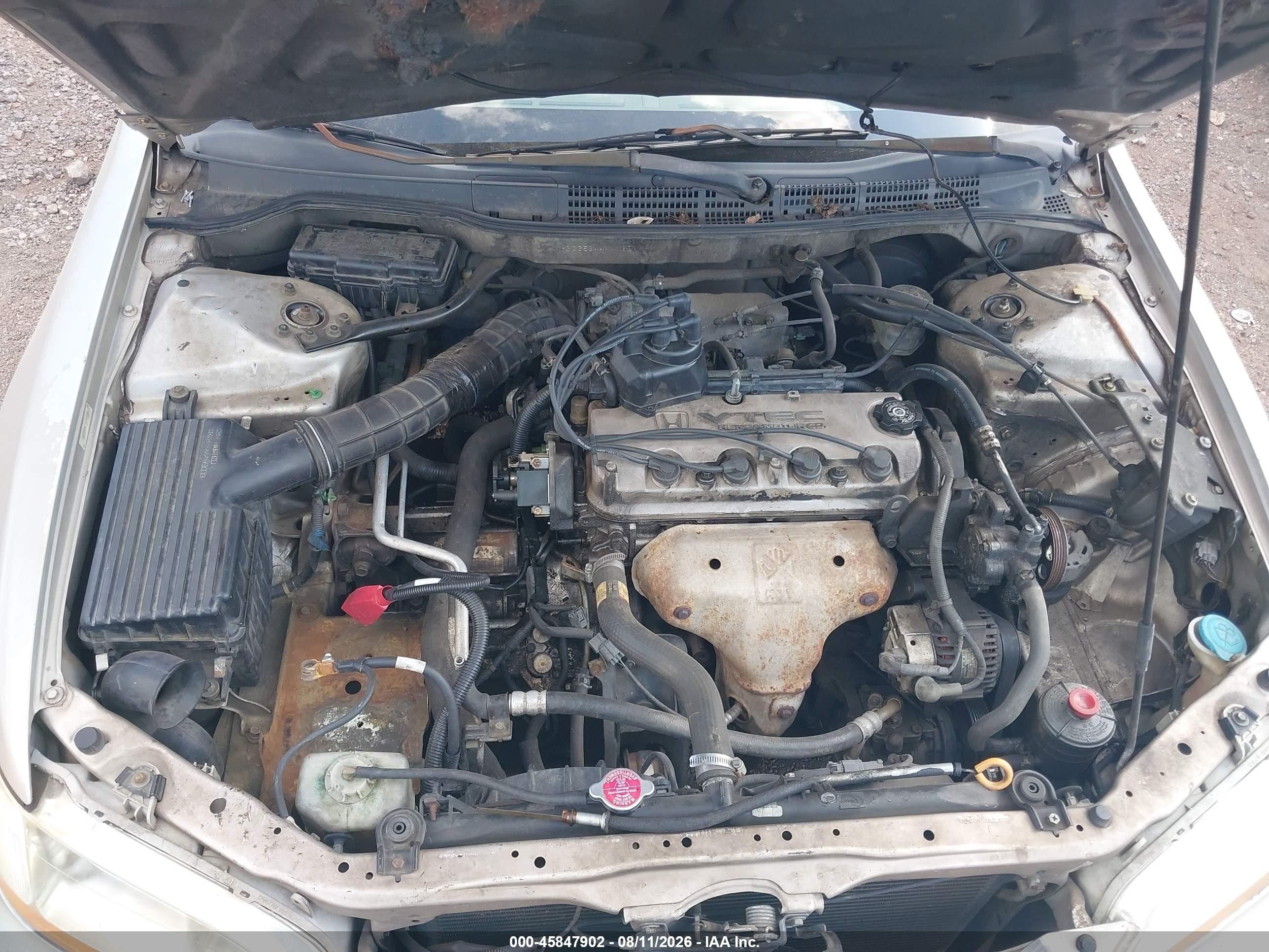 1999 Honda Accord Lx Желто-коричневый vin: 1HGCG5644XA163255