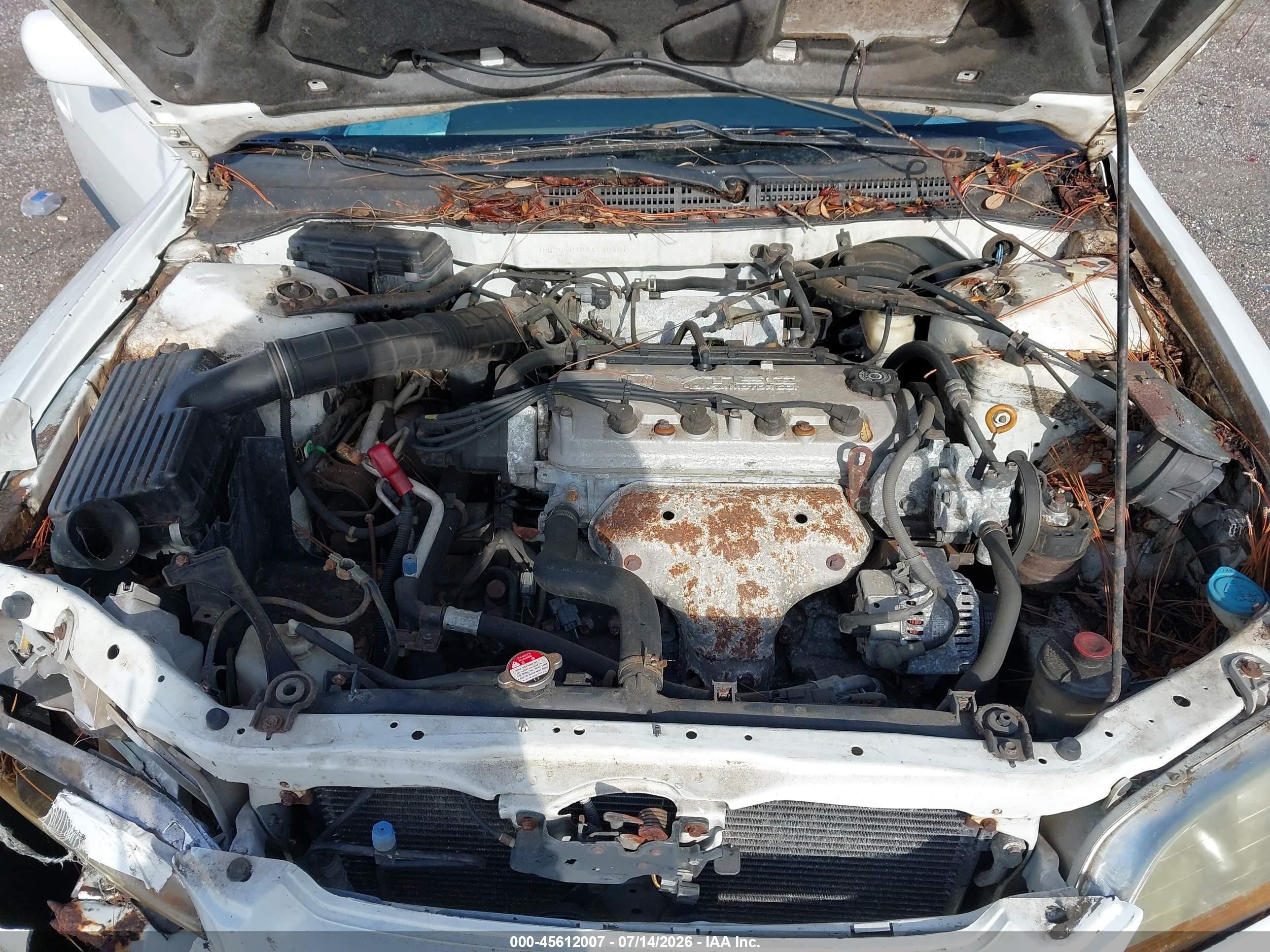 1998 Honda Accord Lx White vin: 1HGCG5645WA146401
