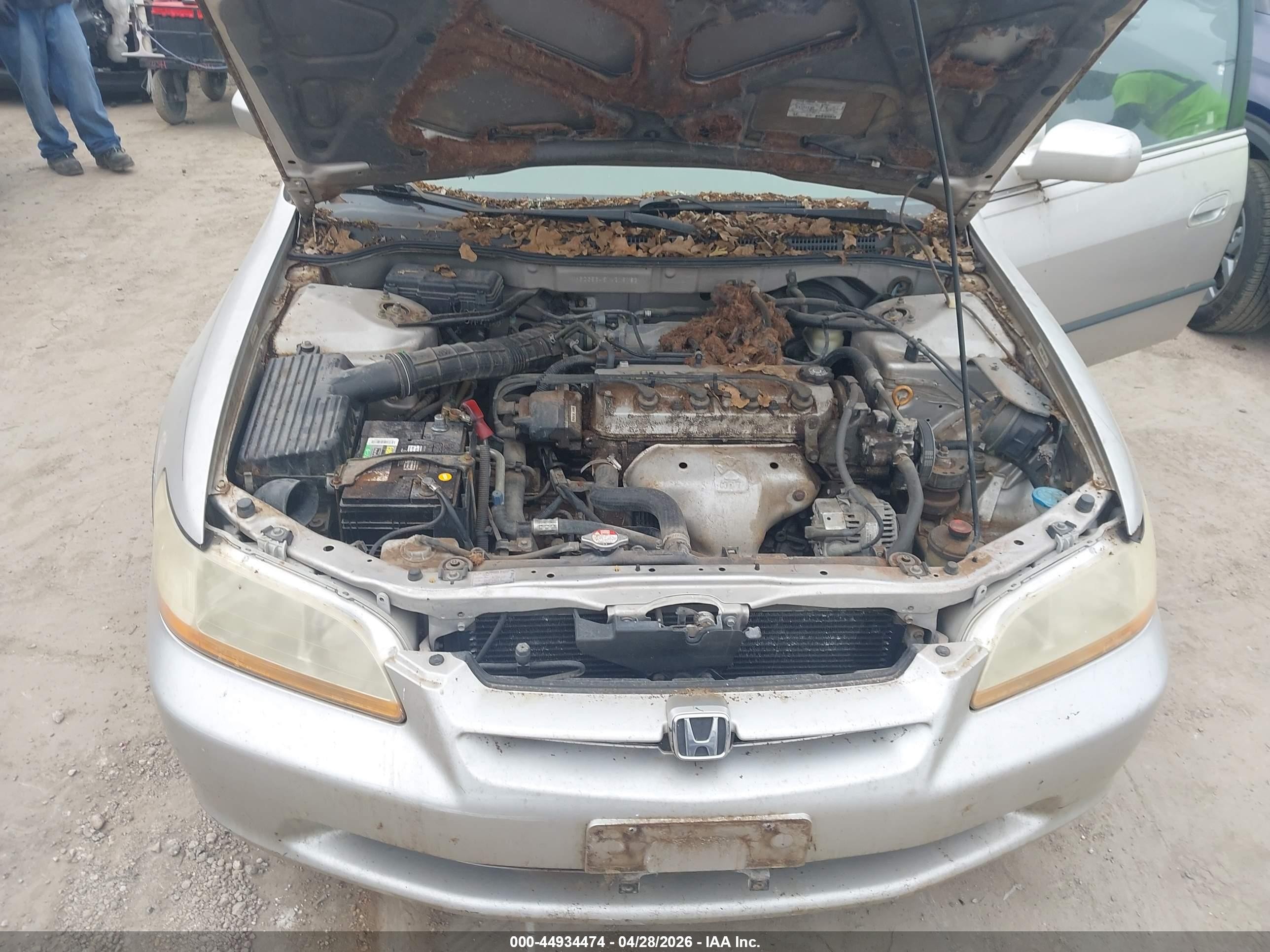 1998 Honda Accord Lx Cream vin: 1HGCG5645WA215183