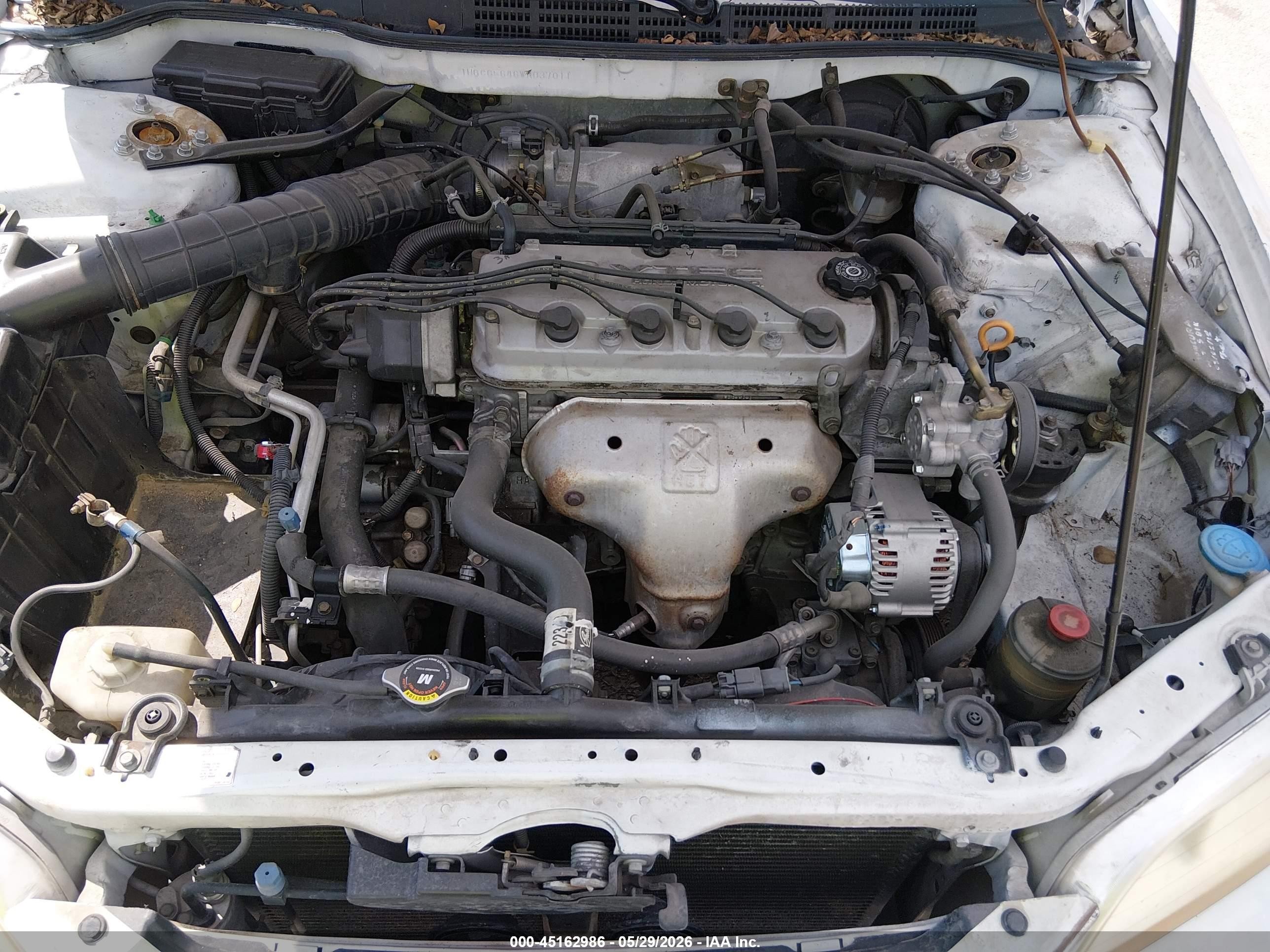 1998 Honda Accord Lx White vin: 1HGCG5646WA037011