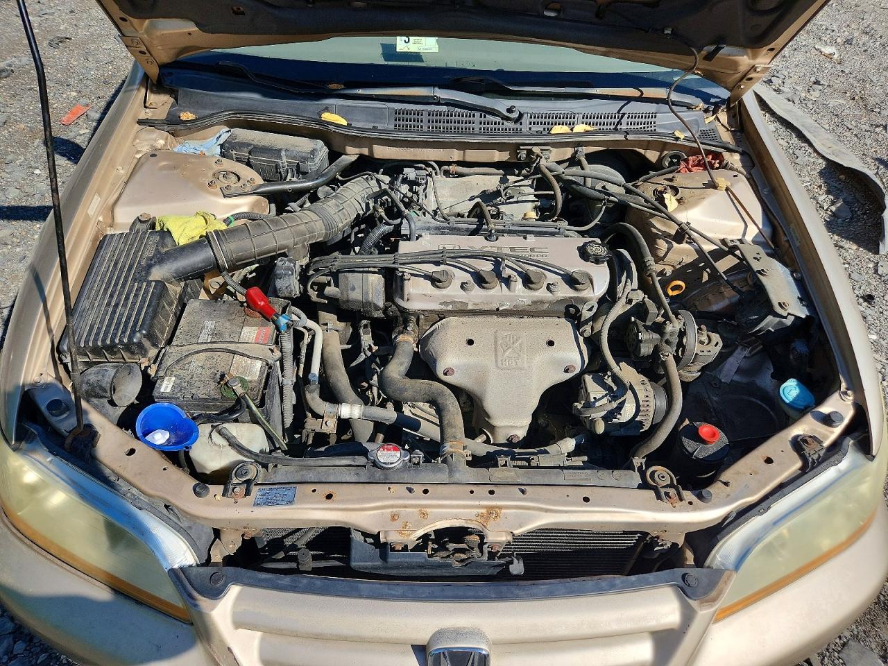 2001 Honda Accord Lx Beige vin: 1HGCG56471A138390
