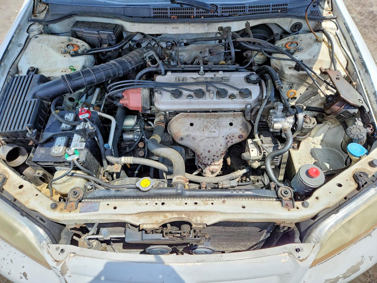 1998 Honda Accord Lx Белый vin: 1HGCG5647WA058854