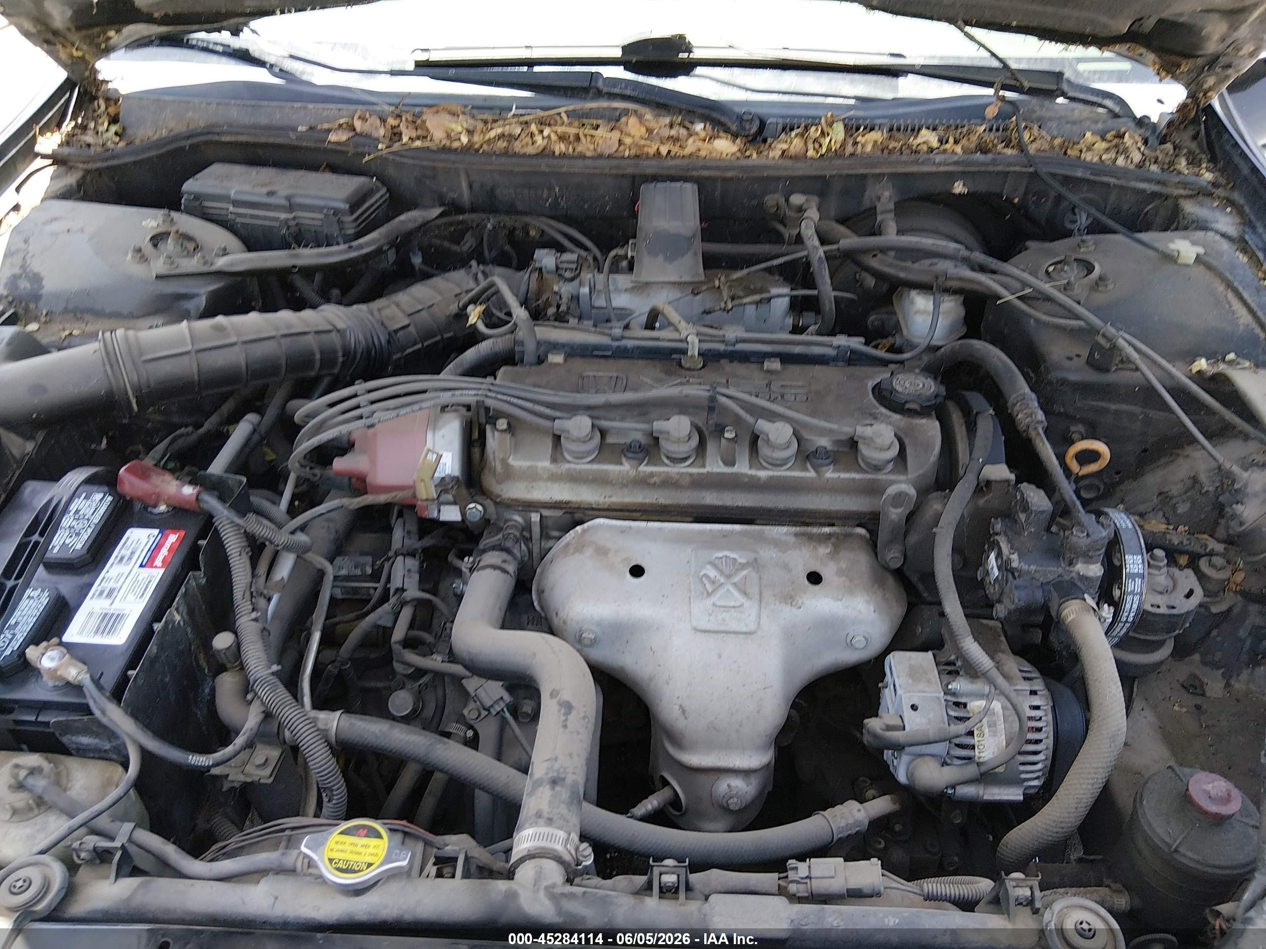 1998 Honda Accord Lx Black vin: 1HGCG5648WA078501