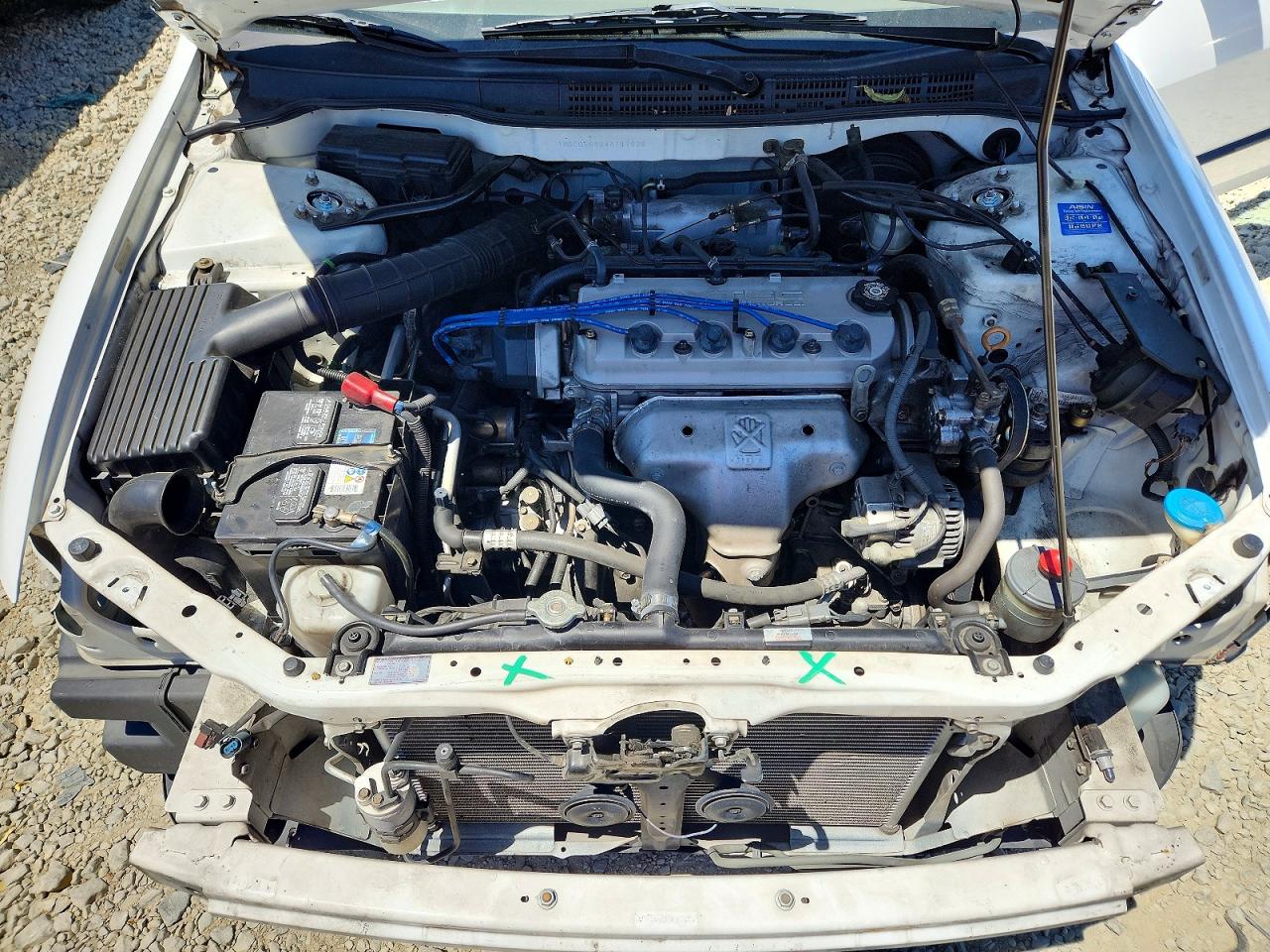 1998 Honda Accord Lx Белый vin: 1HGCG5648WA149938