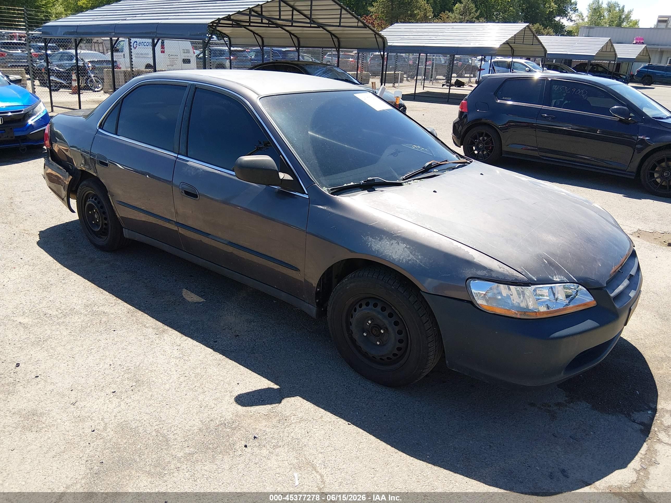 1998 Honda Accord Lx Gray vin: 1HGCG5648WA223469
