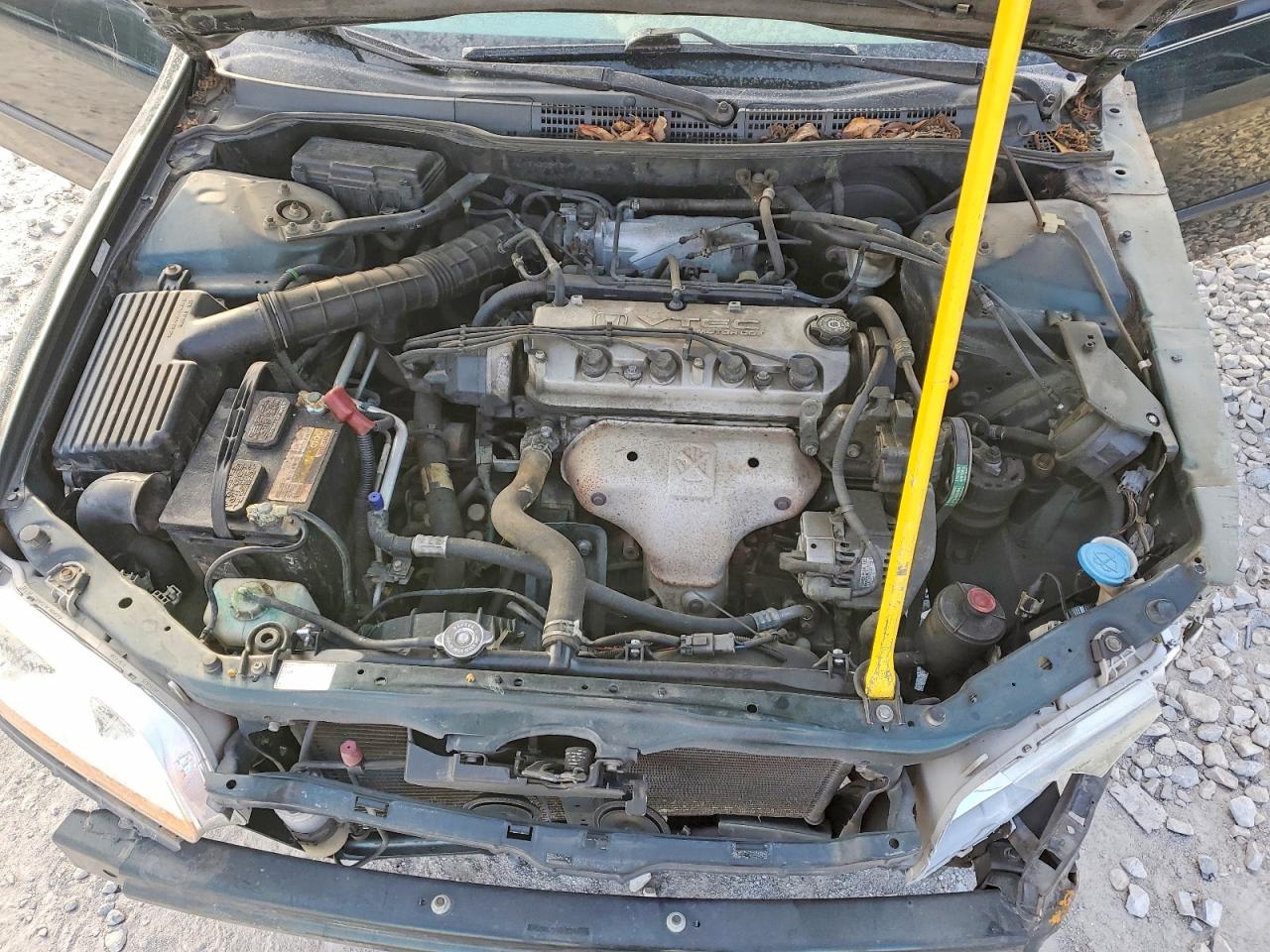 1998 Honda Accord Lx Green vin: 1HGCG5649WA096439