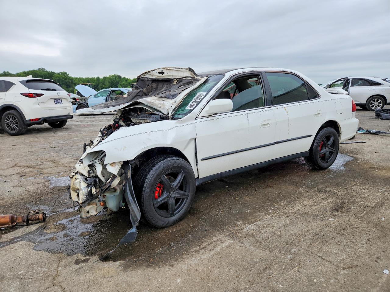 1998 Honda Accord Lx White vin: 1HGCG5649WA255699