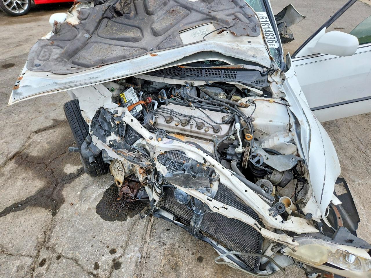 1998 Honda Accord Lx Белый vin: 1HGCG5649WA255699