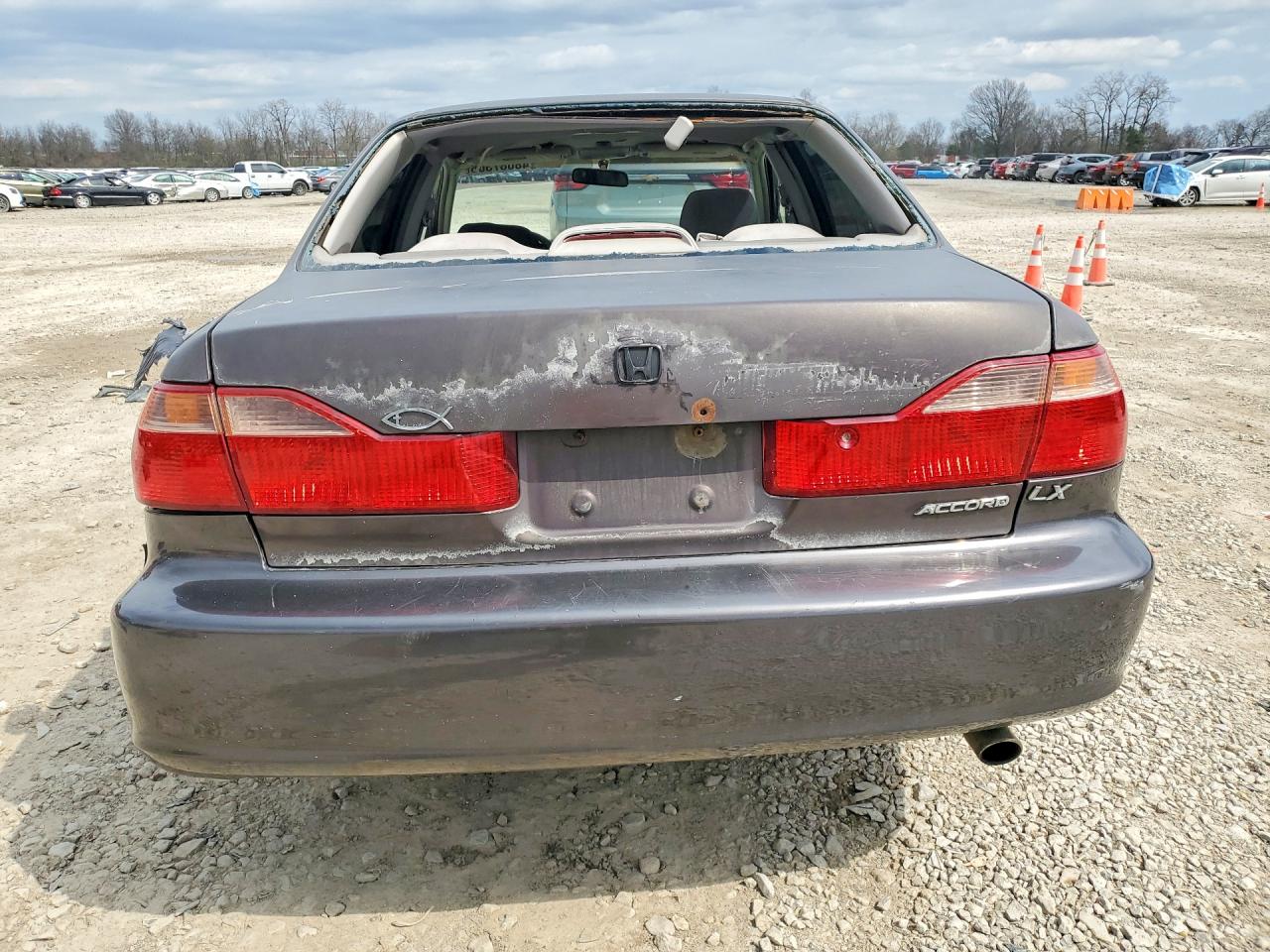 1999 Honda Accord Lx Black vin: 1HGCG5649XA100555