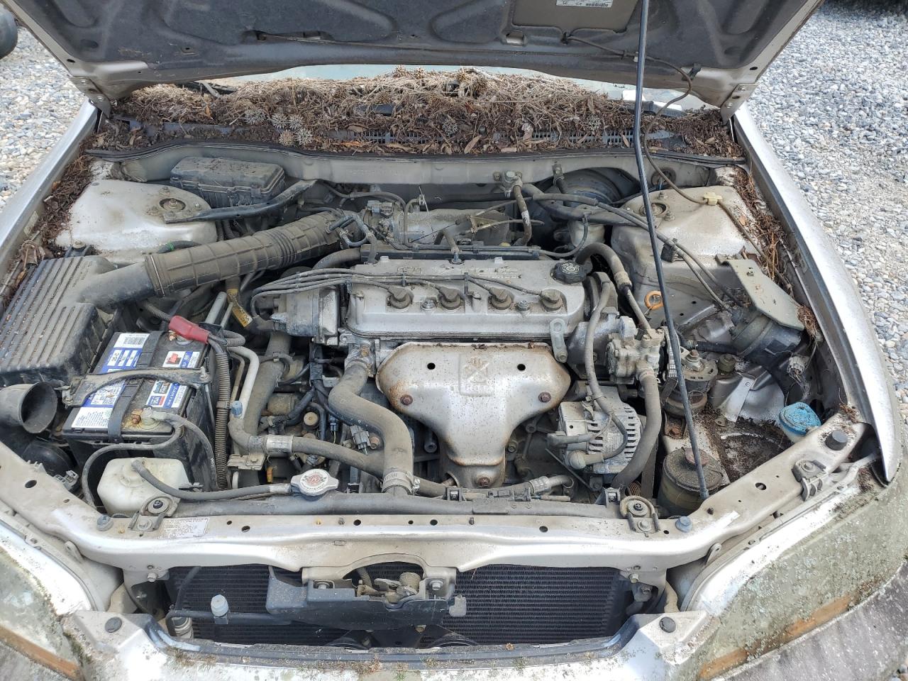 1998 Hond Accord Lx Cream vin: 1HGCG564XWA113622