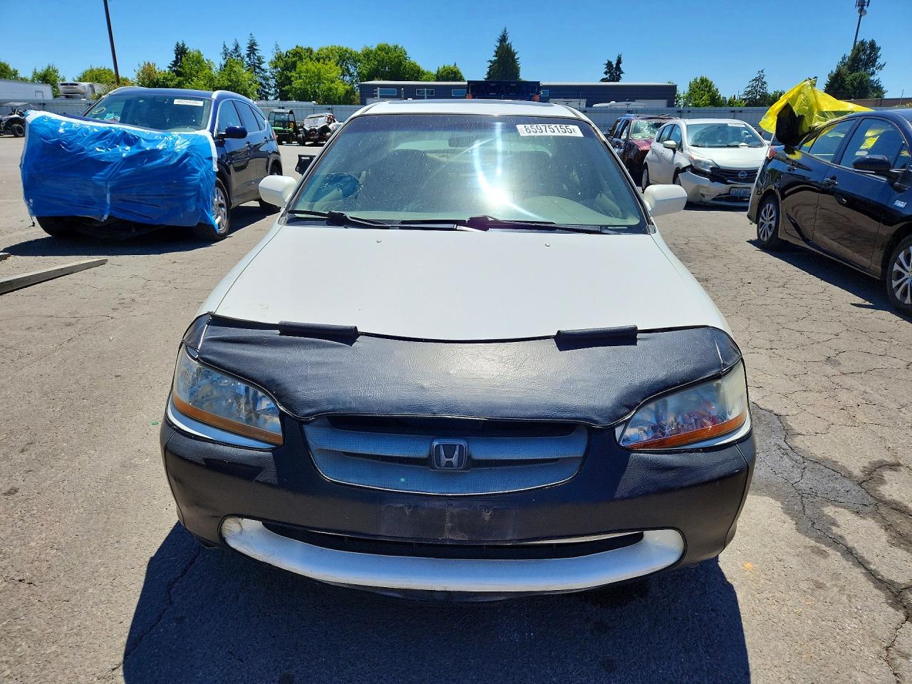 1998 Honda Accord Ex White vin: 1HGCG5652WA130486