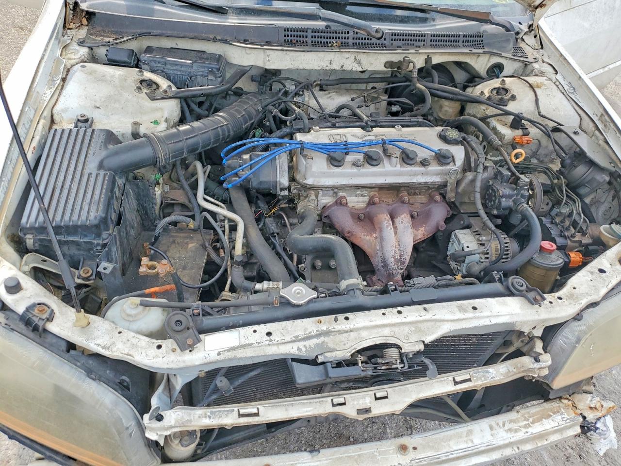 1998 Honda Accord Ex Белый vin: 1HGCG5652WA241278