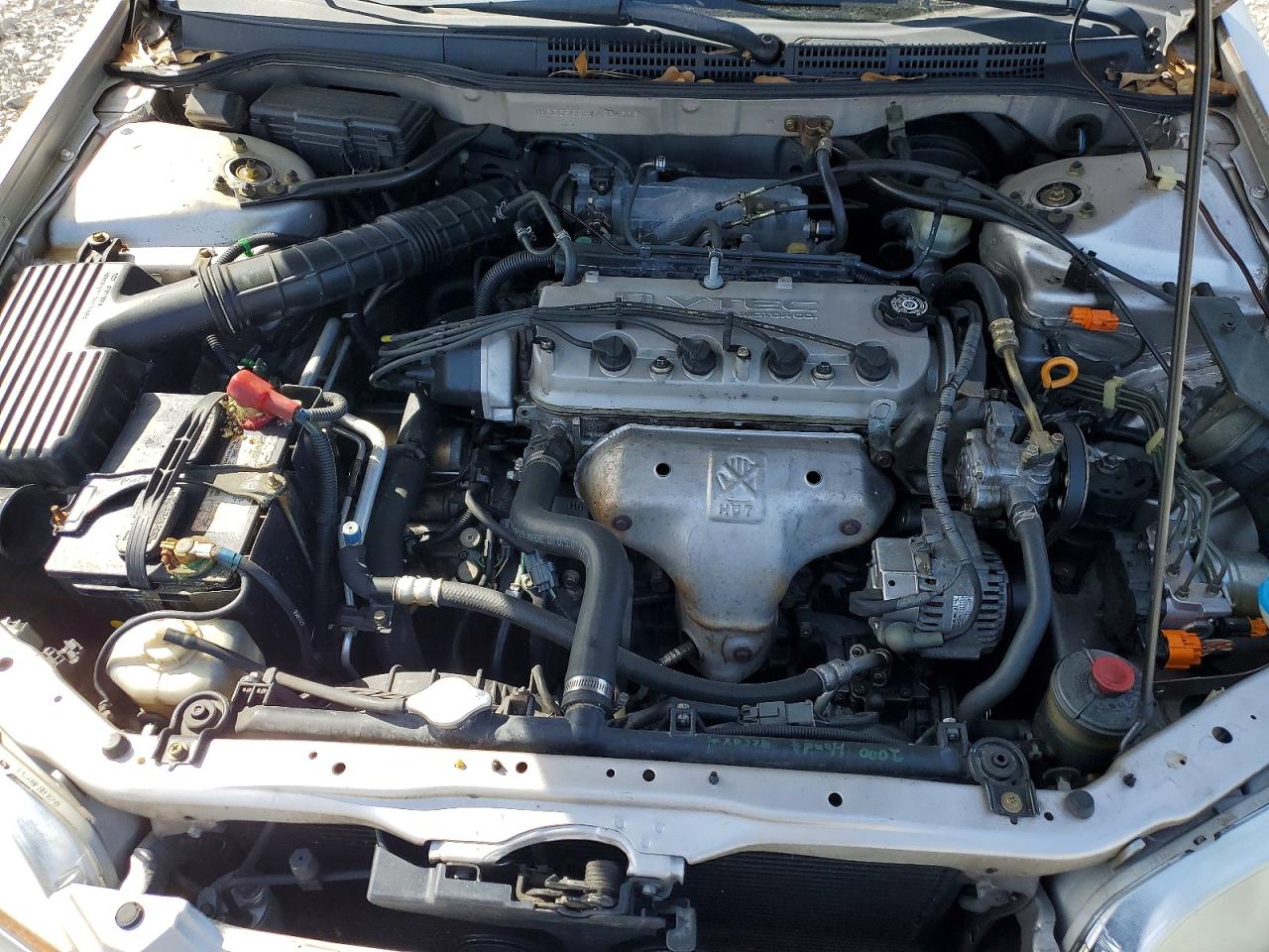 1998 Honda Accord Ex Cream vin: 1HGCG5653WA264908