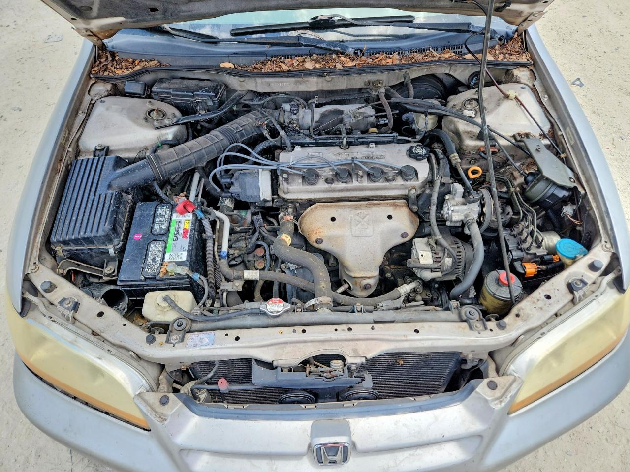 1998 Honda Accord Ex Silver vin: 1HGCG5655WA183098